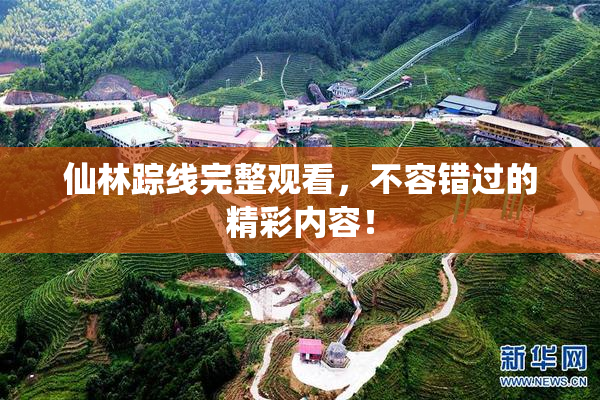 仙林踪线完整观看，不容错过的精彩内容！