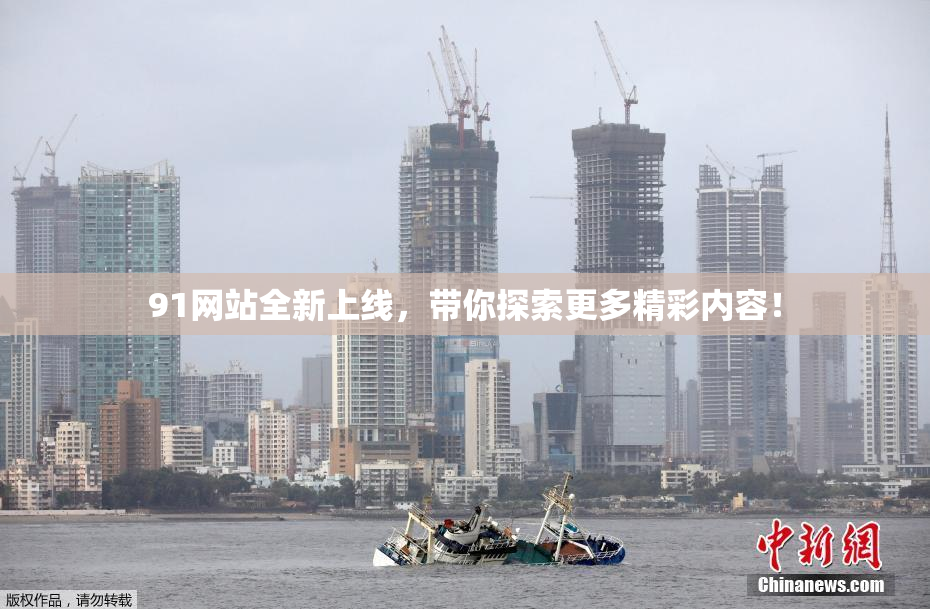 91网站全新上线，带你探索更多精彩内容！