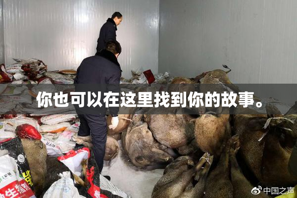 你也可以在这里找到你的故事。