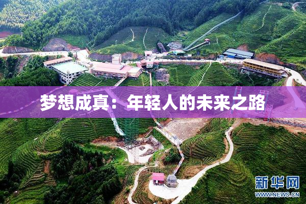 梦想成真：年轻人的未来之路