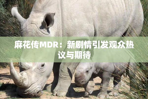 麻花传MDR：新剧情引发观众热议与期待