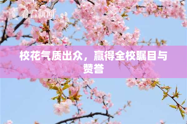 校花气质出众，赢得全校瞩目与赞誉