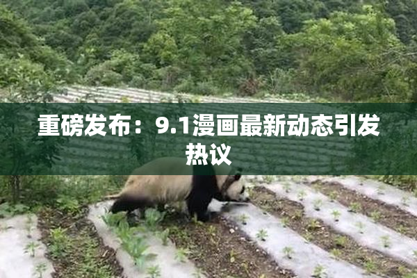 重磅发布：9.1漫画最新动态引发热议