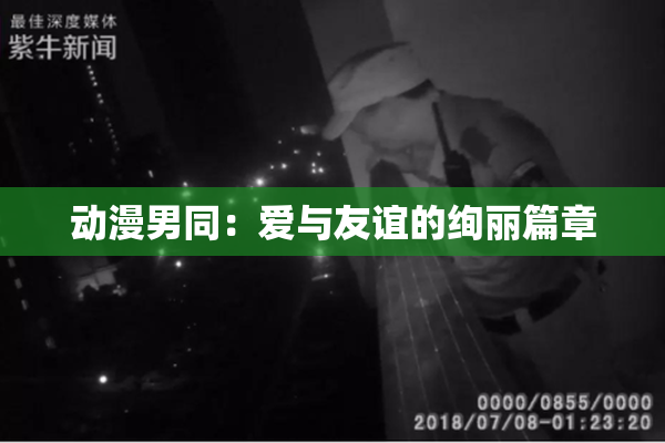 动漫男同：爱与友谊的绚丽篇章