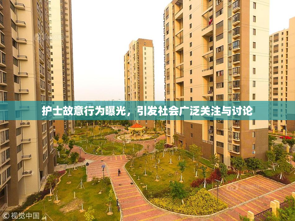 护士故意行为曝光，引发社会广泛关注与讨论