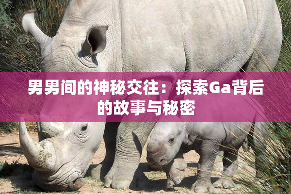男男间的神秘交往：探索Ga背后的故事与秘密