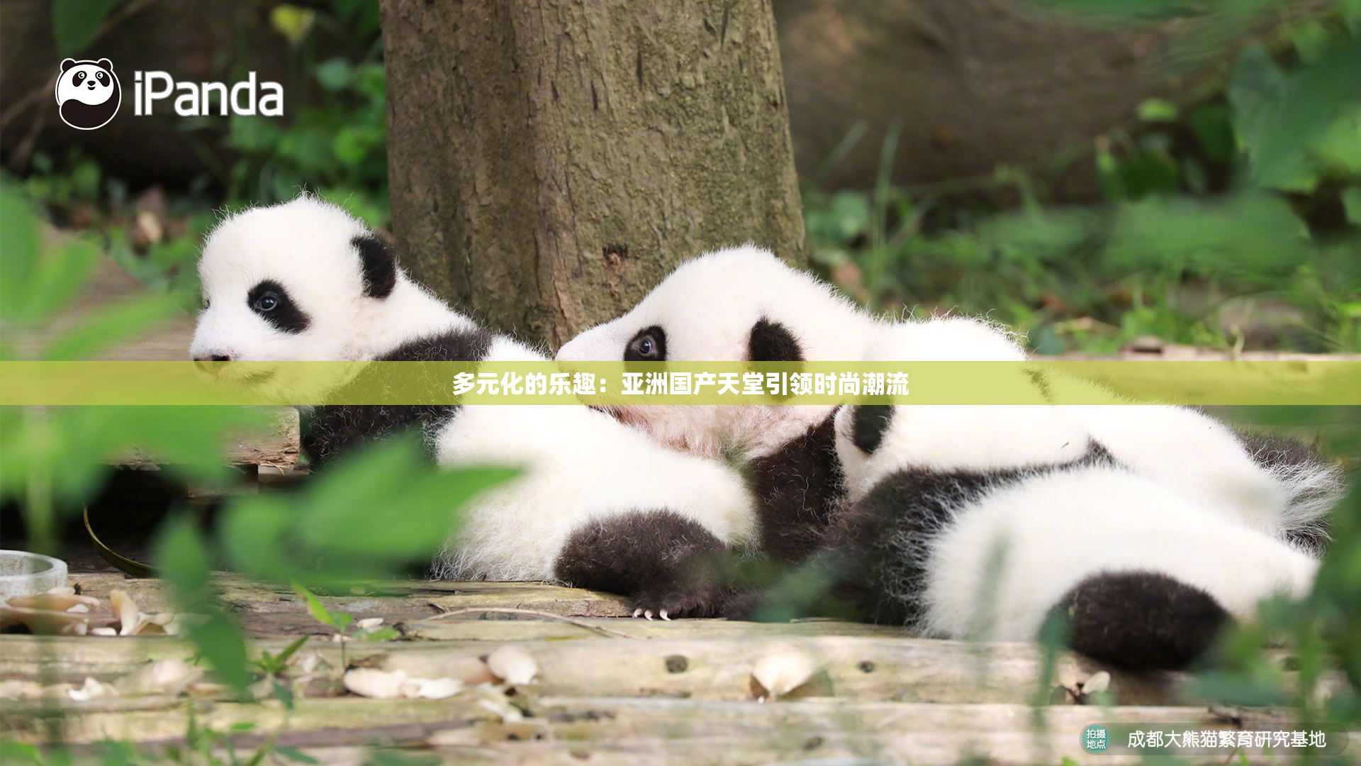多元化的乐趣：亚洲国产天堂引领时尚潮流