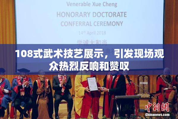 108式武术技艺展示，引发现场观众热烈反响和赞叹