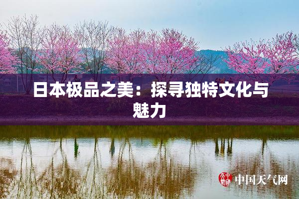 日本极品之美：探寻独特文化与魅力