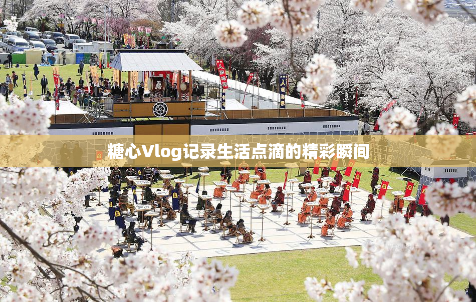糖心Vlog记录生活点滴的精彩瞬间