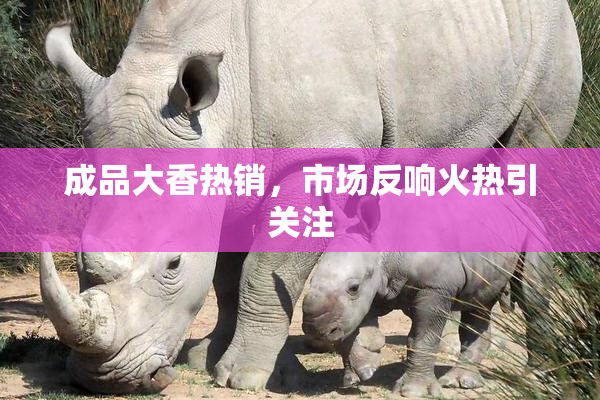 成品大香热销，市场反响火热引关注