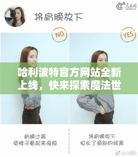 哈利波特官方网站全新上线，快来探索魔法世界！