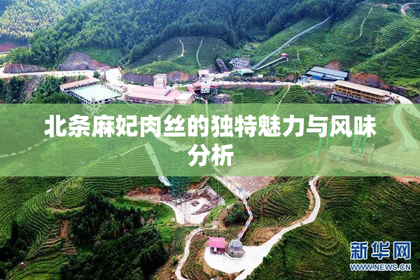 北条麻妃肉丝的独特魅力与风味分析