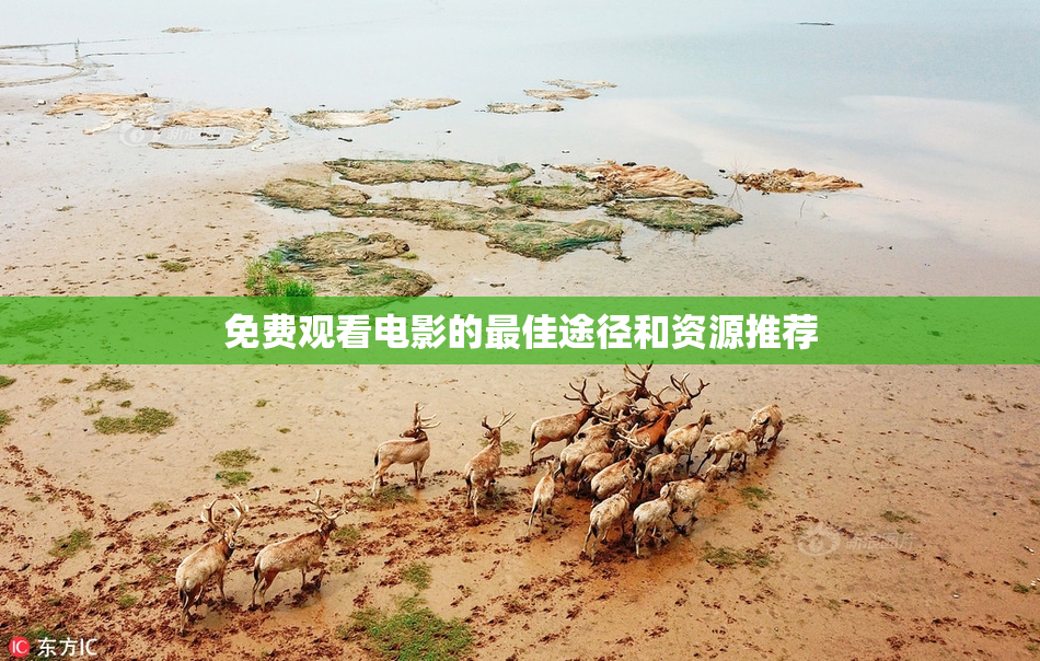 免费观看电影的最佳途径和资源推荐