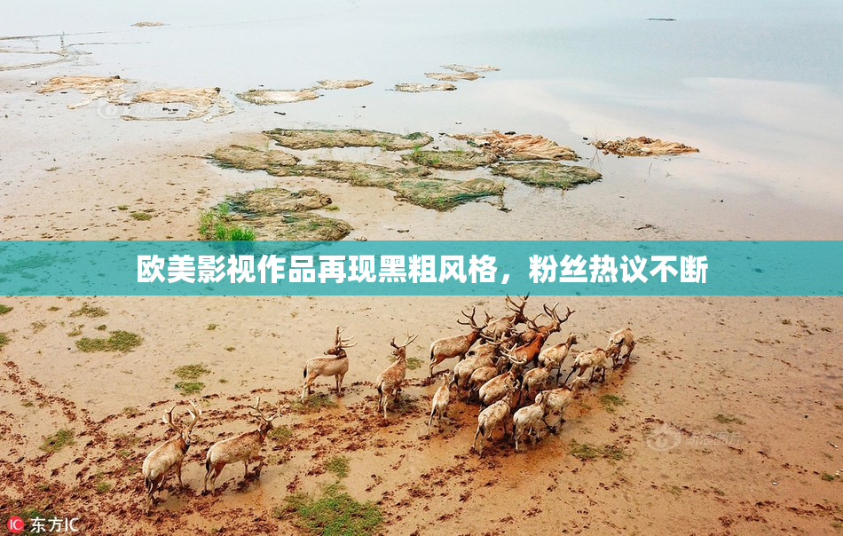 欧美影视作品再现黑粗风格，粉丝热议不断
