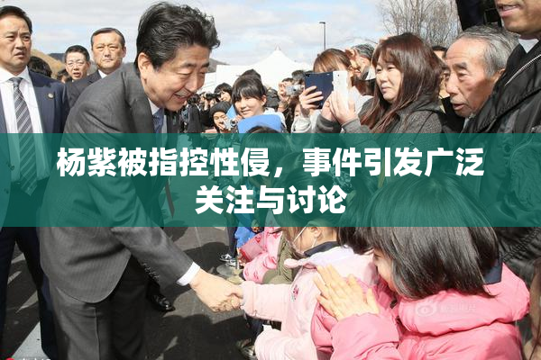 杨紫被指控性侵，事件引发广泛关注与讨论