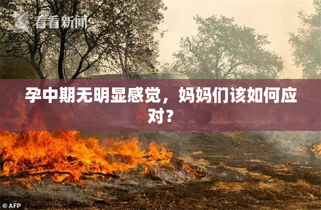 孕中期无明显感觉，妈妈们该如何应对？