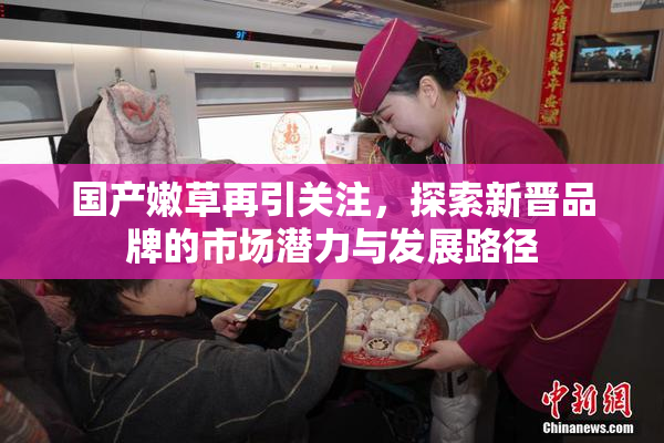 国产嫩草再引关注，探索新晋品牌的市场潜力与发展路径