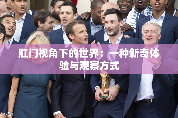 肛门视角下的世界：一种新奇体验与观察方式