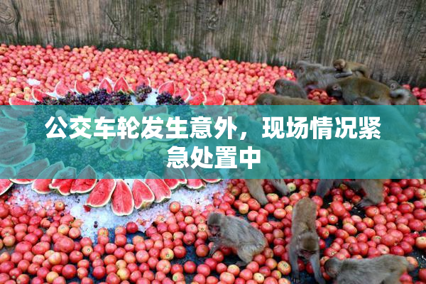 公交车轮发生意外，现场情况紧急处置中