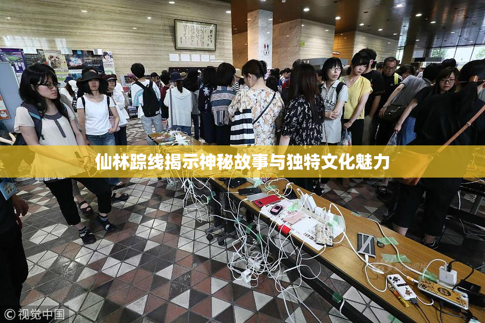 仙林踪线揭示神秘故事与独特文化魅力