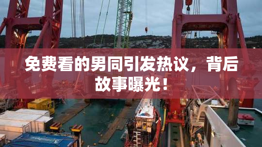 免费看的男同引发热议，背后故事曝光！