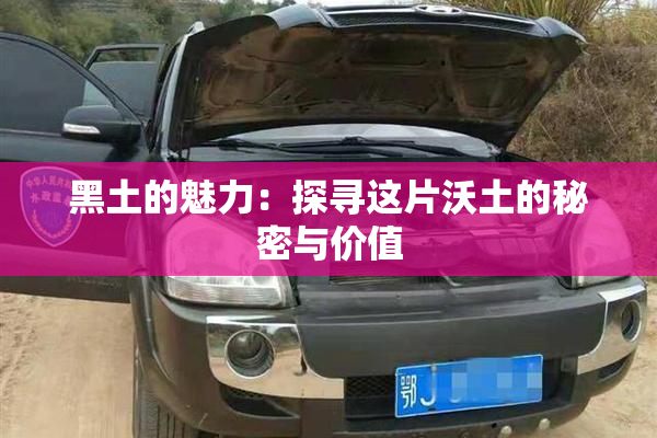 黑土的魅力：探寻这片沃土的秘密与价值