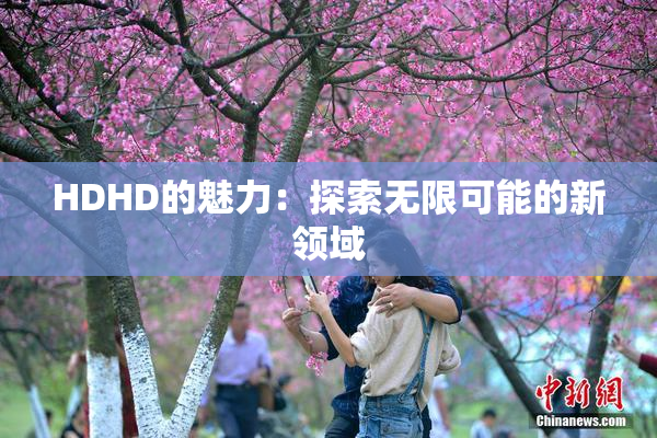 HDHD的魅力：探索无限可能的新领域