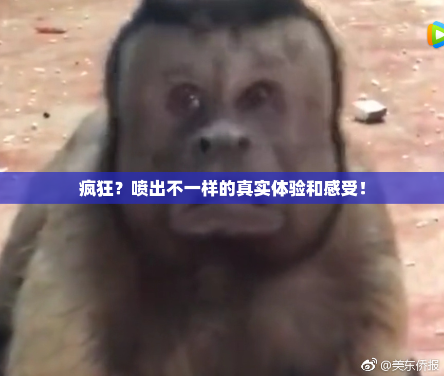 疯狂？喷出不一样的真实体验和感受！