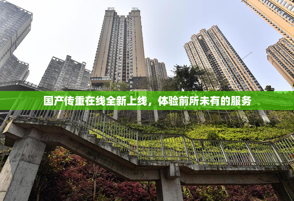 国产传重在线全新上线，体验前所未有的服务