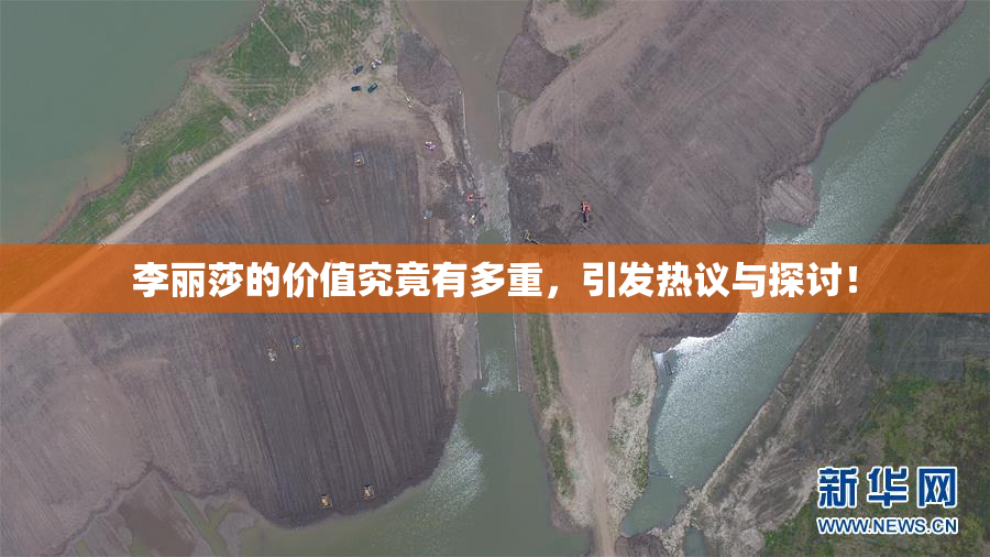 李丽莎的价值究竟有多重，引发热议与探讨！
