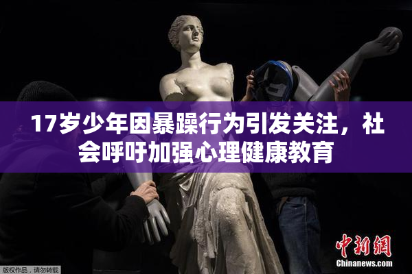 17岁少年因暴躁行为引发关注，社会呼吁加强心理健康教育