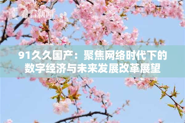 91久久国产：聚焦网络时代下的数字经济与未来发展改革展望