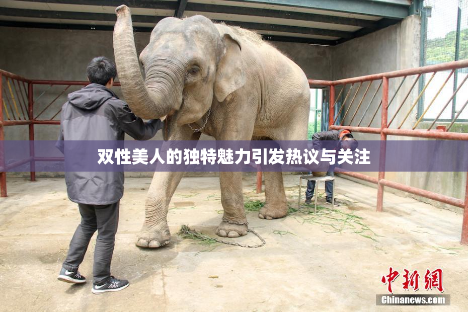 双性美人的独特魅力引发热议与关注