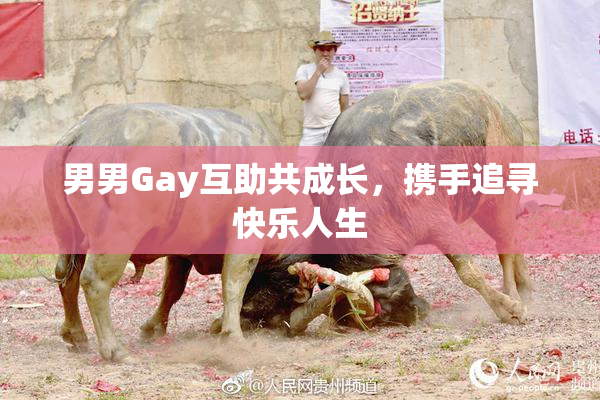 男男Gay互助共成长，携手追寻快乐人生