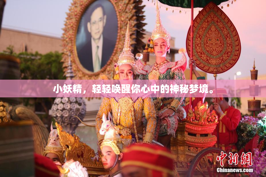小妖精，轻轻唤醒你心中的神秘梦境。
