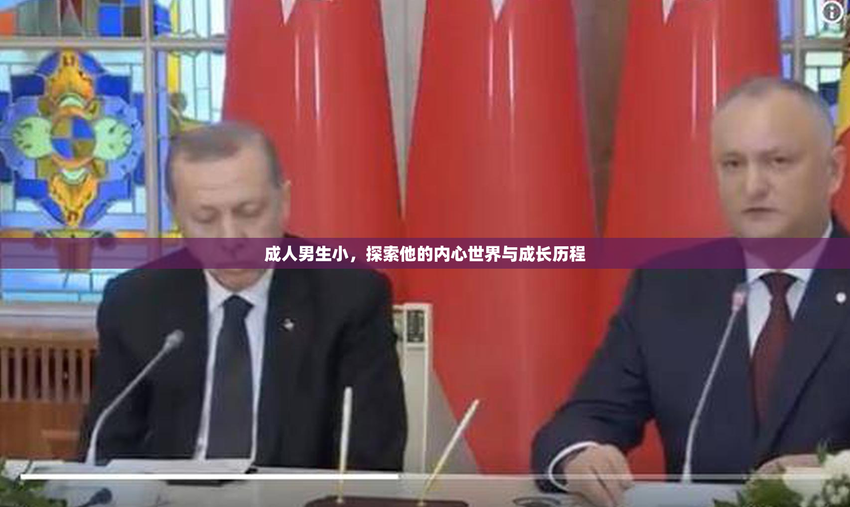 成人男生小，探索他的内心世界与成长历程