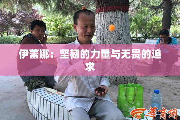 伊蕾娜：坚韧的力量与无畏的追求