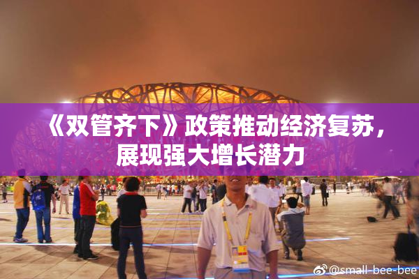 《双管齐下》政策推动经济复苏，展现强大增长潜力
