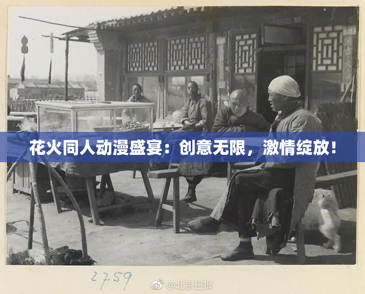 花火同人动漫盛宴：创意无限，激情绽放！
