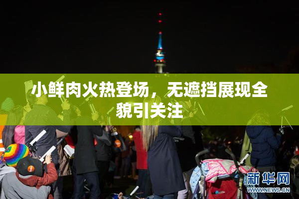 小鲜肉火热登场，无遮挡展现全貌引关注