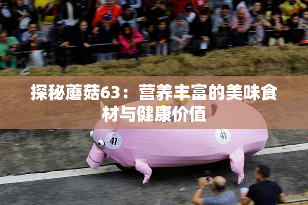 探秘蘑菇63：营养丰富的美味食材与健康价值