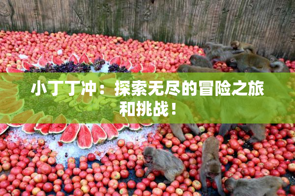 小丁丁冲：探索无尽的冒险之旅和挑战！