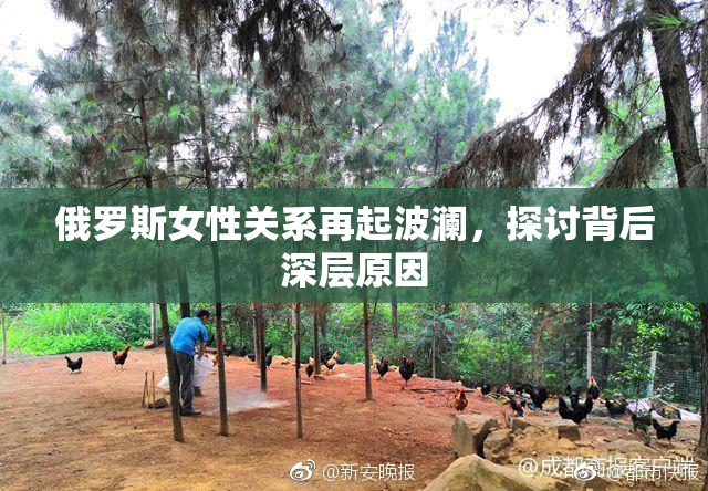 俄罗斯女性关系再起波澜，探讨背后深层原因