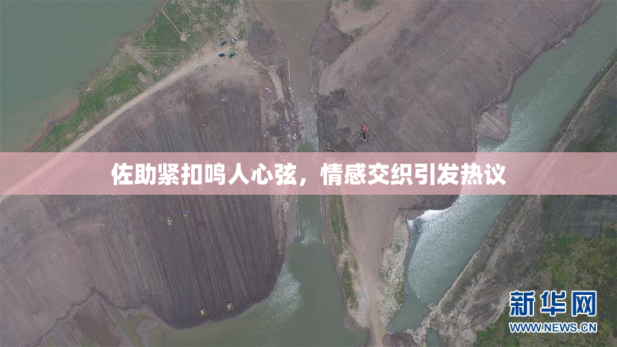 佐助紧扣鸣人心弦，情感交织引发热议
