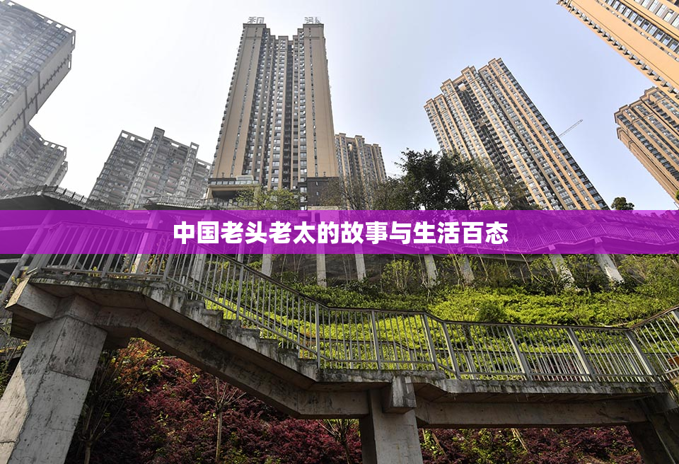 中国老头老太的故事与生活百态
