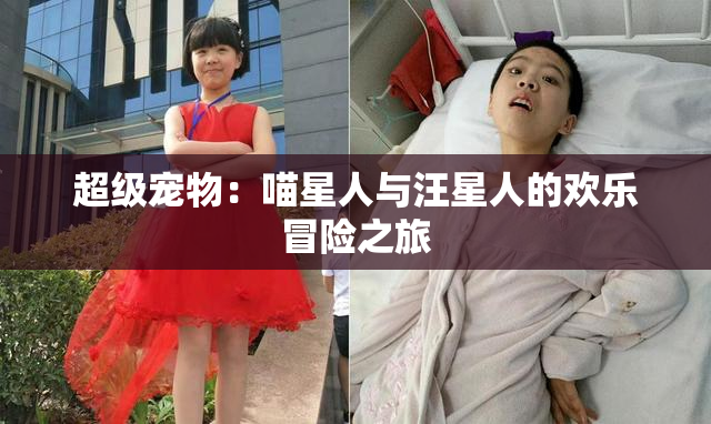 超级宠物：喵星人与汪星人的欢乐冒险之旅