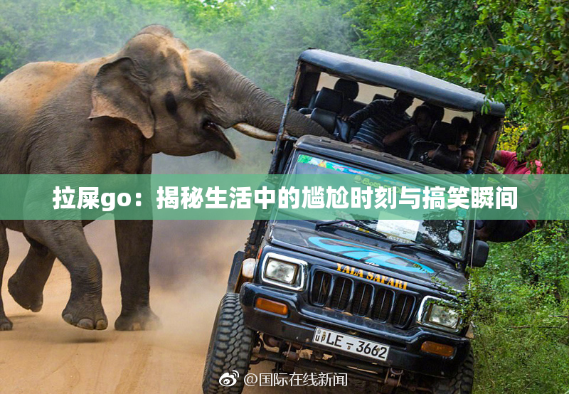 拉屎go：揭秘生活中的尴尬时刻与搞笑瞬间