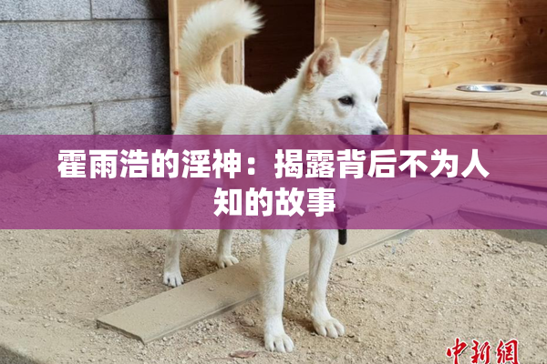 霍雨浩的淫神：揭露背后不为人知的故事