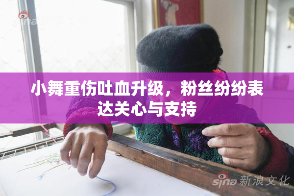 小舞重伤吐血升级，粉丝纷纷表达关心与支持